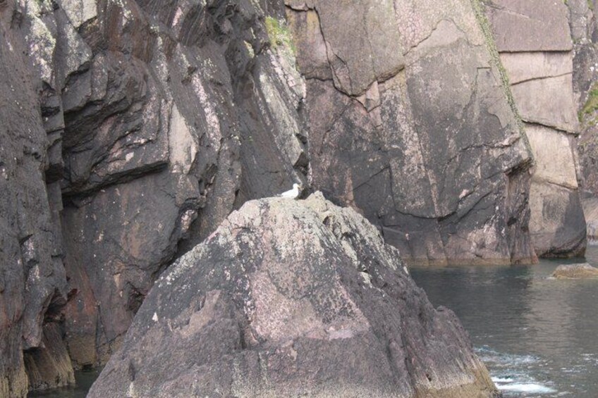 A rocky landscape with a large boulder in the foreground and a river in the background. 5