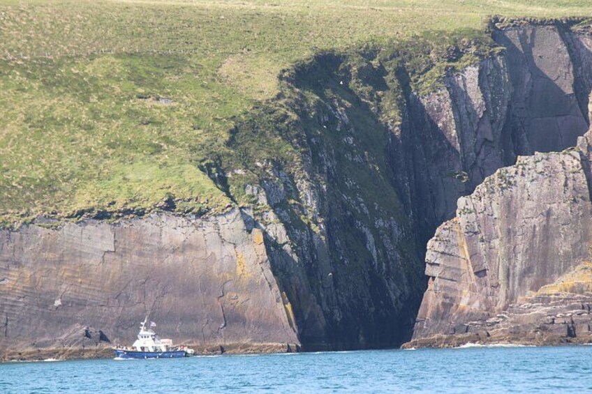 1 hour Dingle Bay Cliff Tour 3