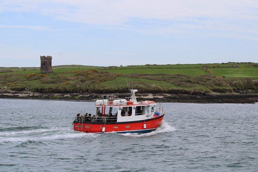 1 hour Dingle Bay Cliff Tour 3
