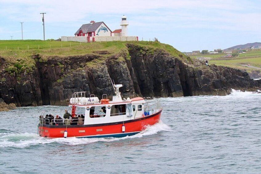 1 hour Dingle Bay Cliff Tour 3