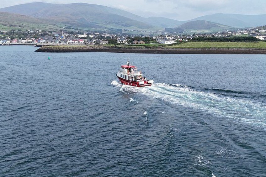 1 hour Dingle Bay Cliff Tour 4