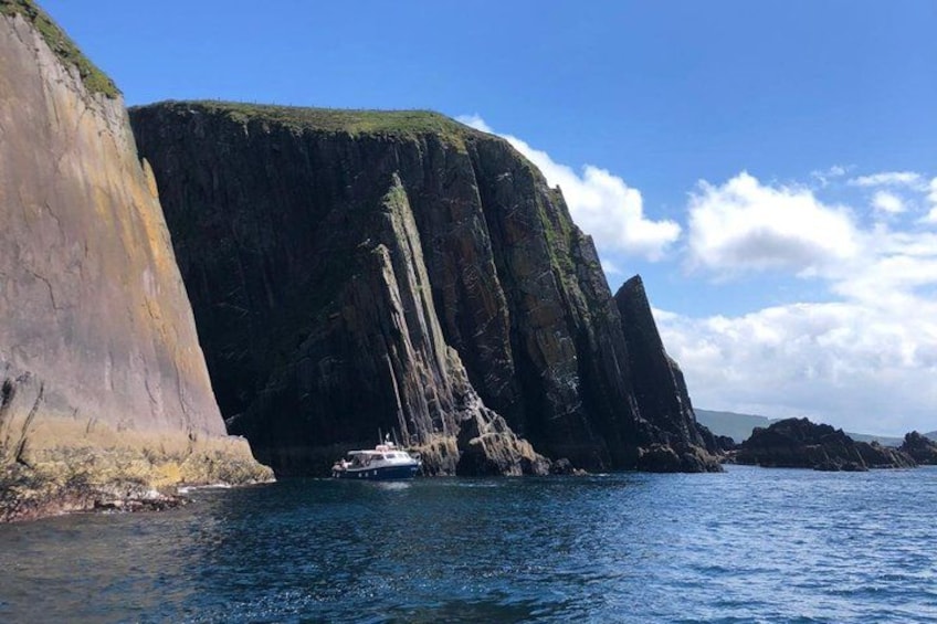 1 hour Dingle Bay Cliff Tour 4
