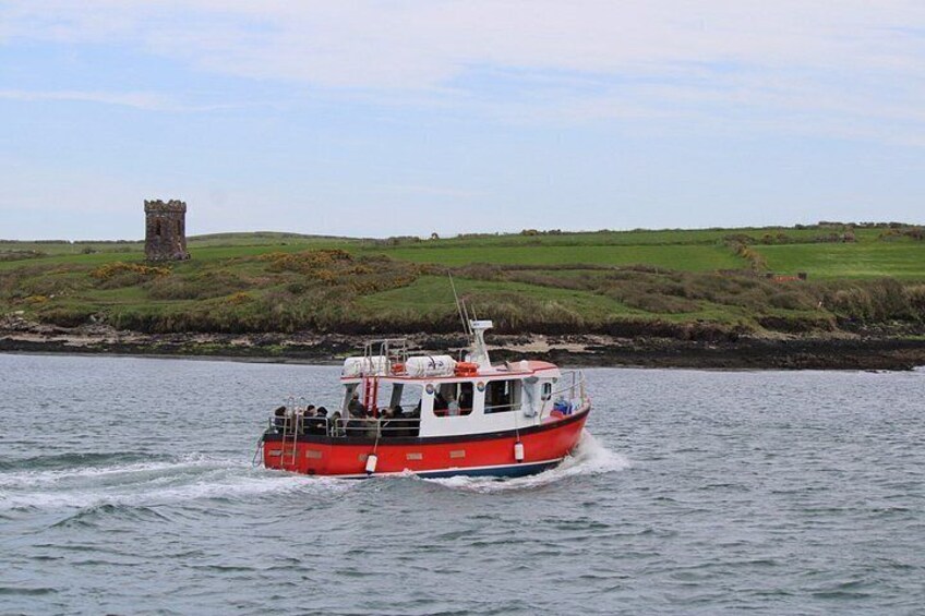 1 hour Dingle Bay Cliff Tour 4