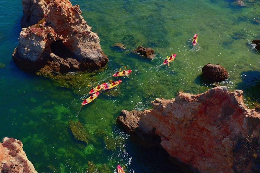 Immerse yourself in the beauty of the ocean in Alvor and make the most of your day 5