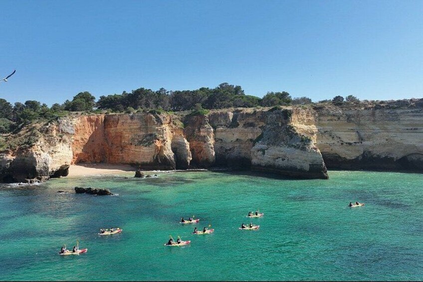 Explore Secret Caves and Beaches of Alvor - Boat & Kayak Tour 4