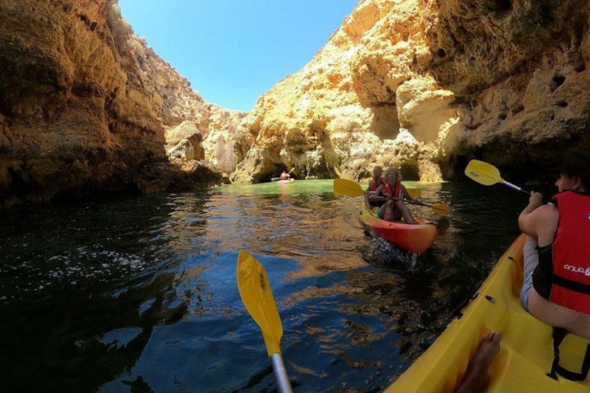 Kayak & Boat Tours 2