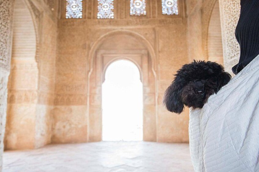A stone archway with intricate designs and a dog peeking out from behind a person. 5