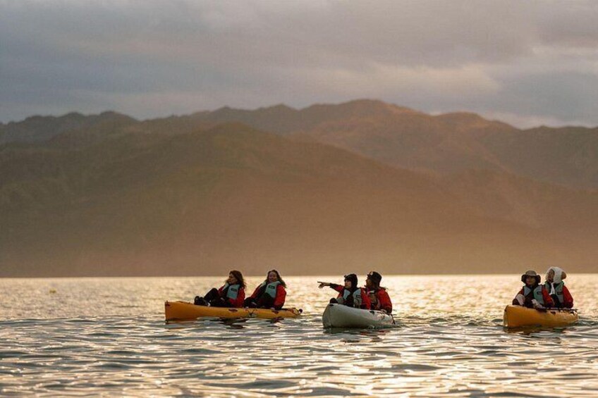 Cuatro personas en kayaks sobre aguas tranquilas, con montañas al fondo. 3