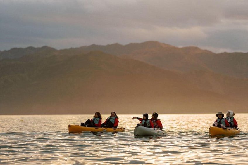 Un groupe de personnes pratiquant le kayak sur une étendue d’eau calme, avec des montagnes en arrière-plan. 2