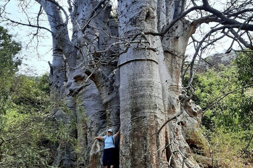  Hike to Cidade Velha