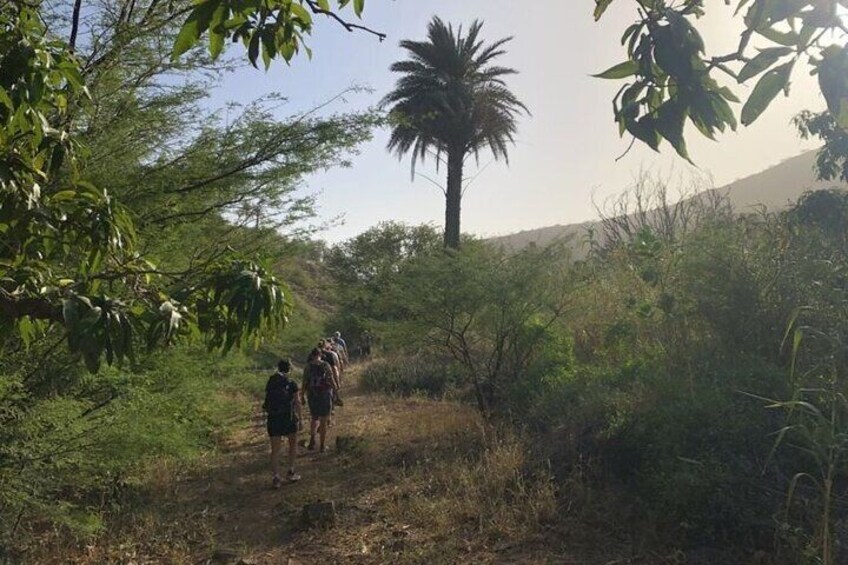 3-Hour Nature Tour in Cape Verde