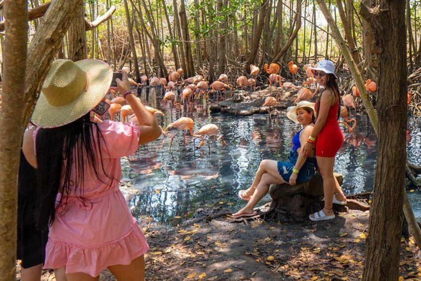 Full Day Tour to the Playa Blanca National Aviary and Plankton 1