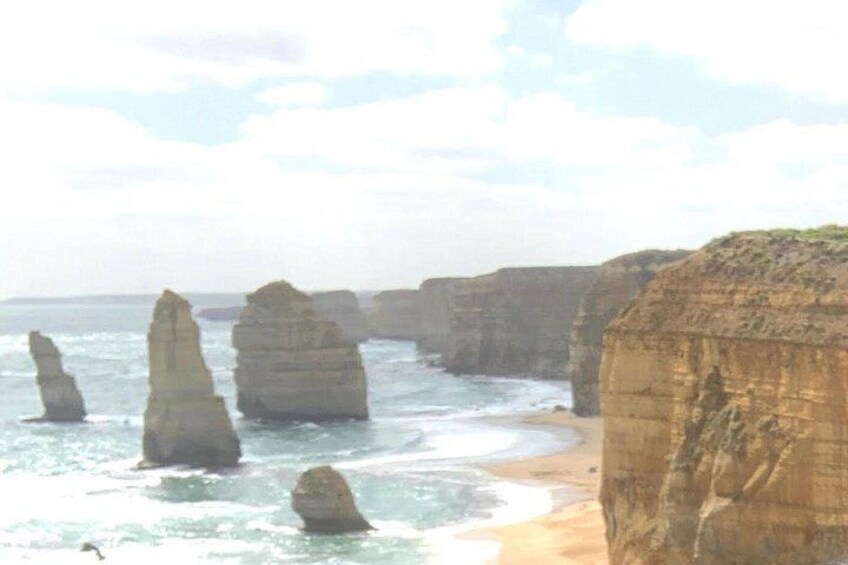 Private Small Group Tour of 2-7pax in Great Ocean Road Melbourne 2