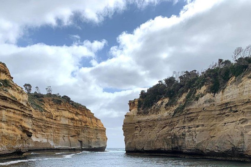Private Small Group Tour of 2-7pax in Great Ocean Road Melbourne 3
