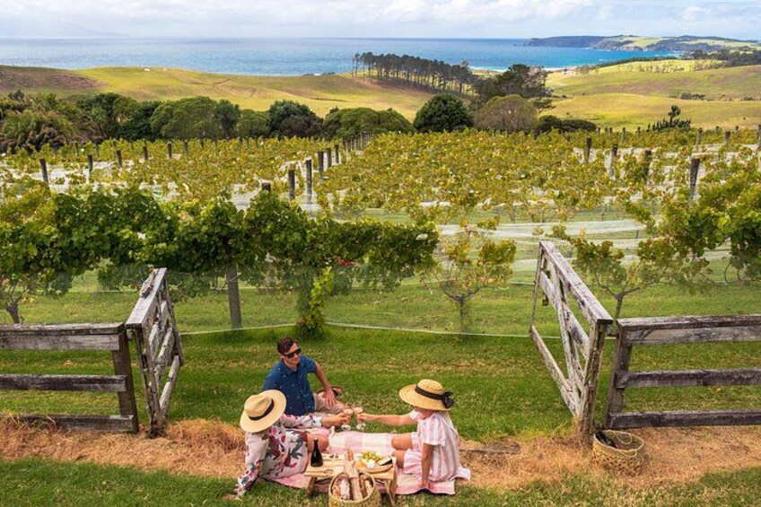 Gourmet Mystery Picnic Experience in Matakana 1