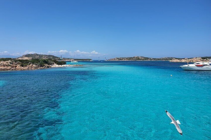 La Maddalena Archipelago and Caprera Boat Tour from Palau 3