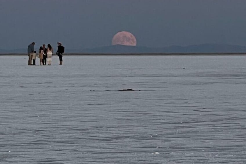 A group of people standing on a beach with a large moon in the background. 5