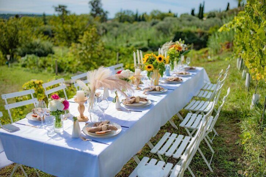 4 Hours Vineyard Dinner in French Riviera