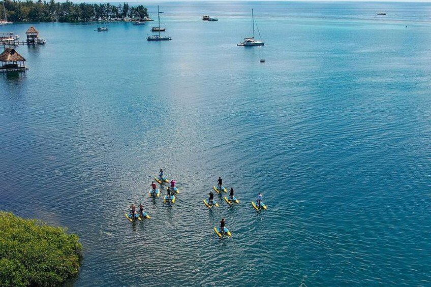 Hydrobike Harbor Tour, Reef Snorkel & Private Island Beach Break 4