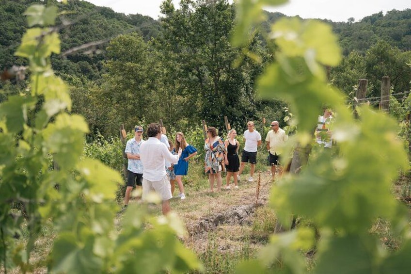 Un groupe de personnes se tient dans un champ, avec des arbres et des collines en arrière-plan. 5