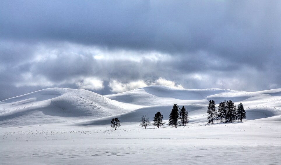 Grand Teton and National Elk Refuge Winter Wonderland Full Day Adventure