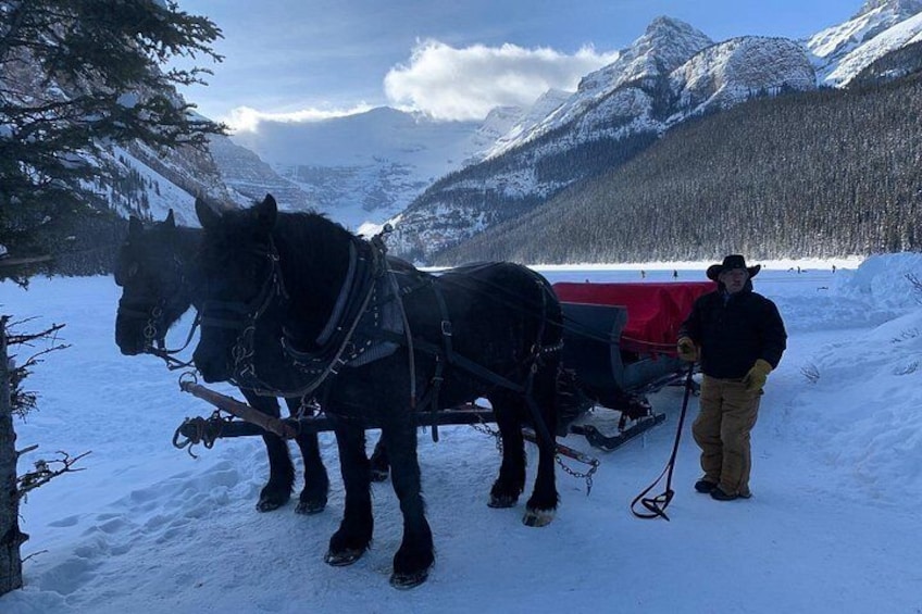 Two horses pulling a sled in a snowy mountainous area. 4