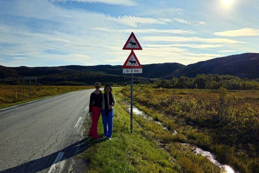 Sommarøy & Kvaløya Scenic Fjord Tour 3