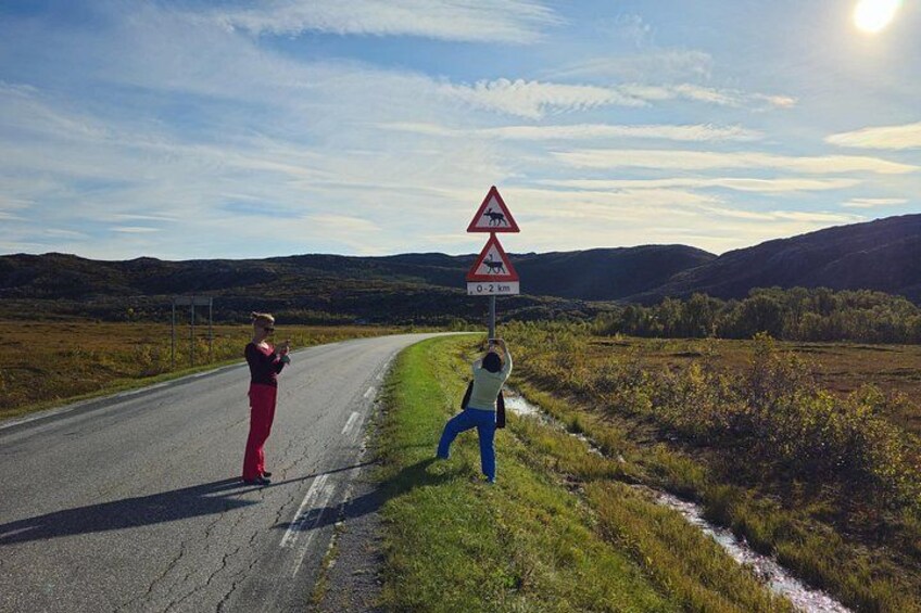 A rural road with a pedestrian crossing sign and a warning sign for wildlife crossing. 5