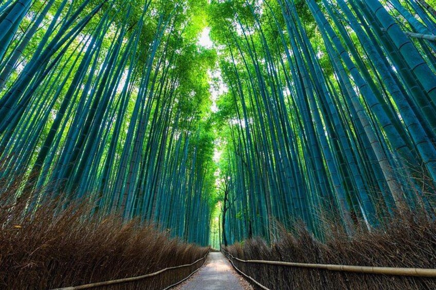 Kyoto Highlights Private Tour with Local driver 4