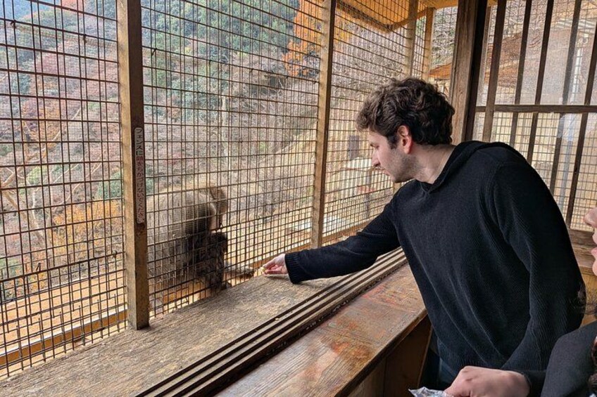 Kyoto Highlights Private Tour with Local driver 5
