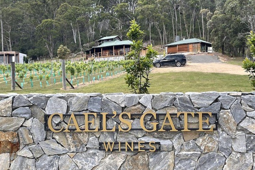 Een stenen muur met 'CAEL'S GATE WINES' erop, wijnranken en een gebouw op de achtergrond. 4