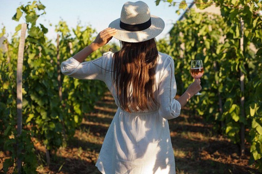 Veni vidi vino - the Freiburg wine hike 2