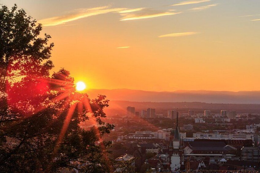 Veni vidi vino - the Freiburg wine hike 3