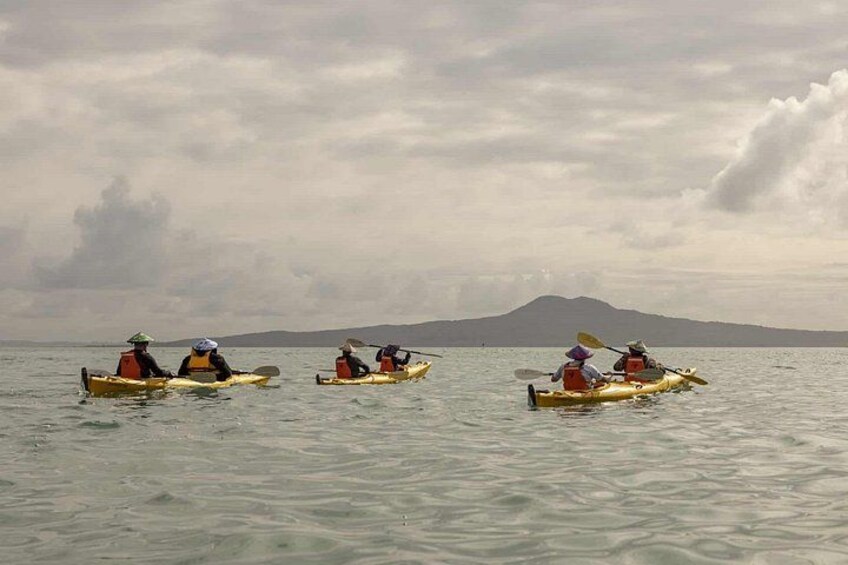 2-Day Waiheke Island Sea Kayak Tour 2