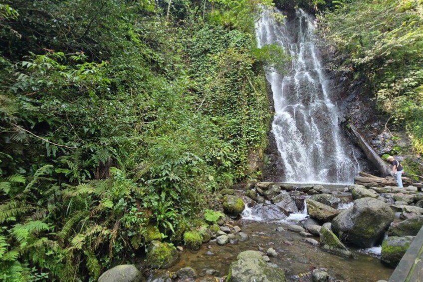 Private Full Day Tour from Batumi to Waterfalls 2