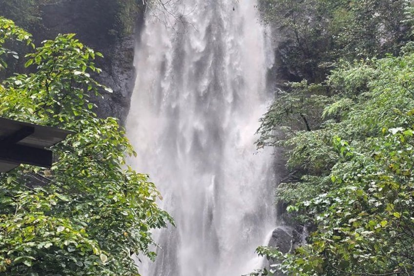 Private Full Day Tour from Batumi to Waterfalls 3