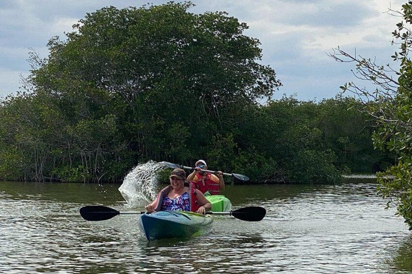 Two people kayaking on a calm river surrounded by dense mangrove trees. 3