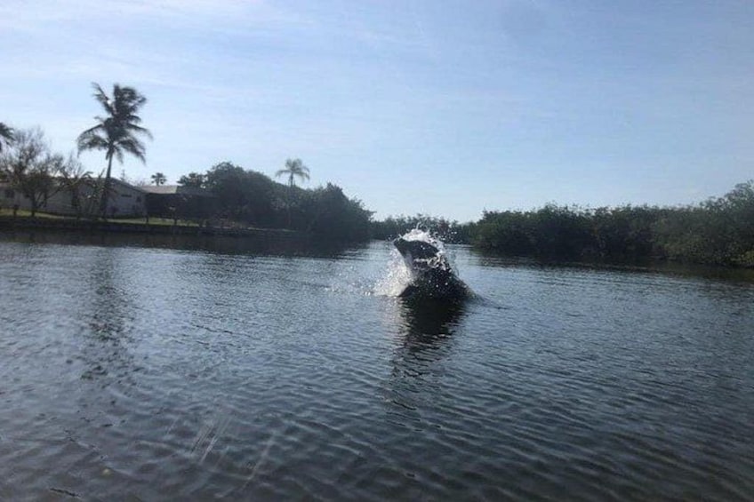 A water body with a splash, palm trees, and a clear sky. 5