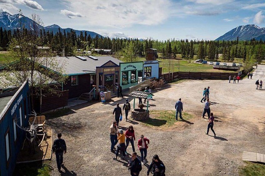 Entry to Wild Adventure Yukon (formerly Caribou Crossing) AND lunch! 2
