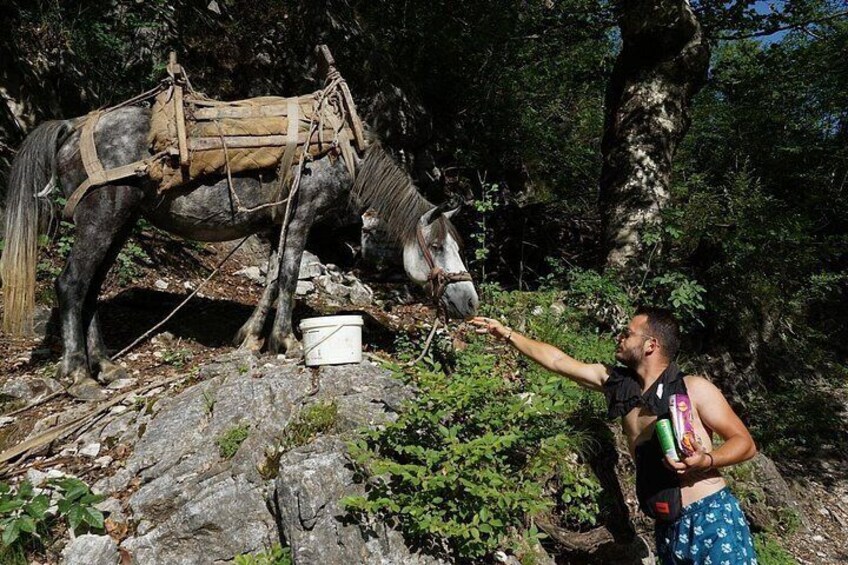 Albanian Alps and Theth Village Day Tour from Tirana 4