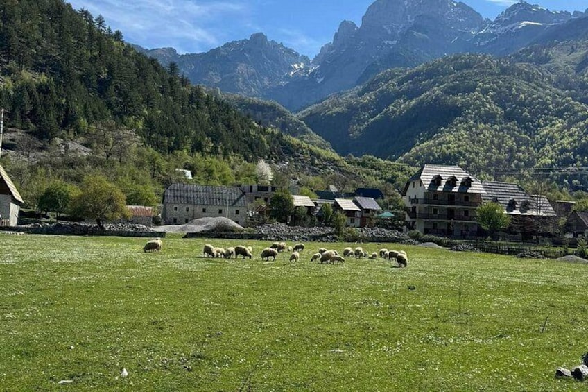 Albanian Alps and Theth Village Day Tour from Tirana 2