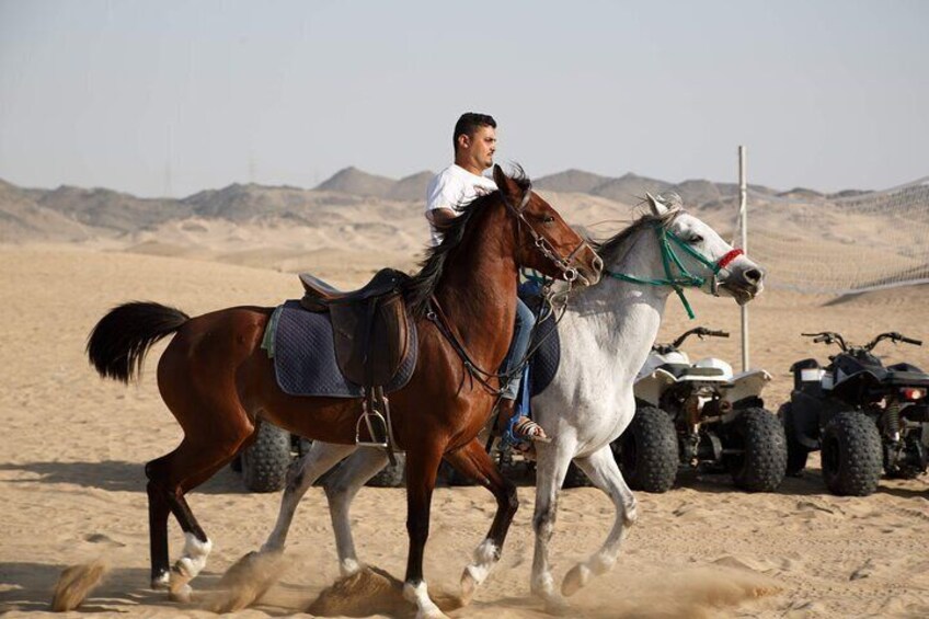 Desert Safari with Quad Bike Tours Jeddah