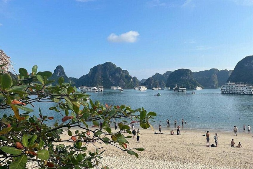Luxury Halong Bay Day Cruise - Amethyst Luxury from Halong 5