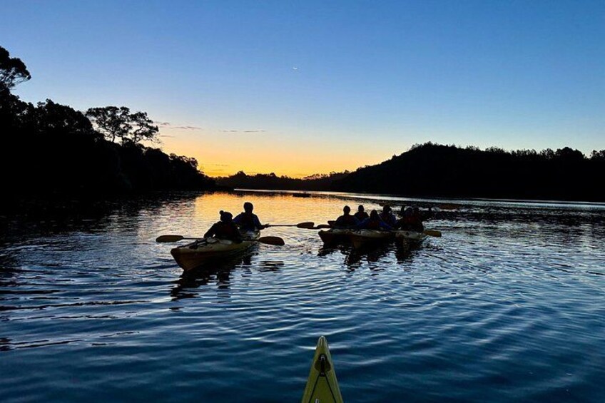 Auckland Bioluminescence Kayak Tour 2