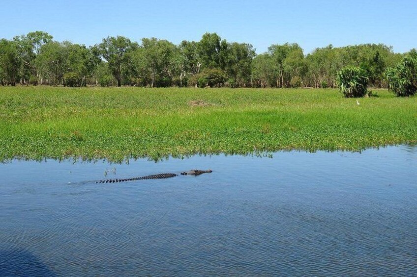 Darwin to Kakadu Day Trip by Air Including Yellow Water Cruise 4