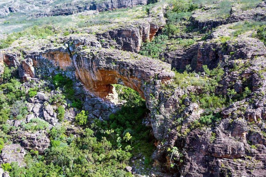 Darwin to Kakadu Day Trip by Air Including Yellow Water Cruise 3