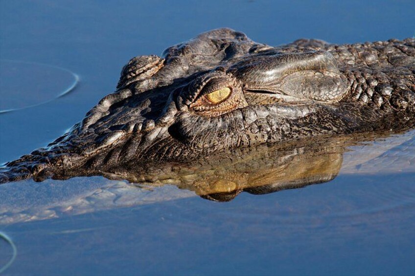 Darwin to Kakadu Day Trip by Air Including Yellow Water Cruise 4