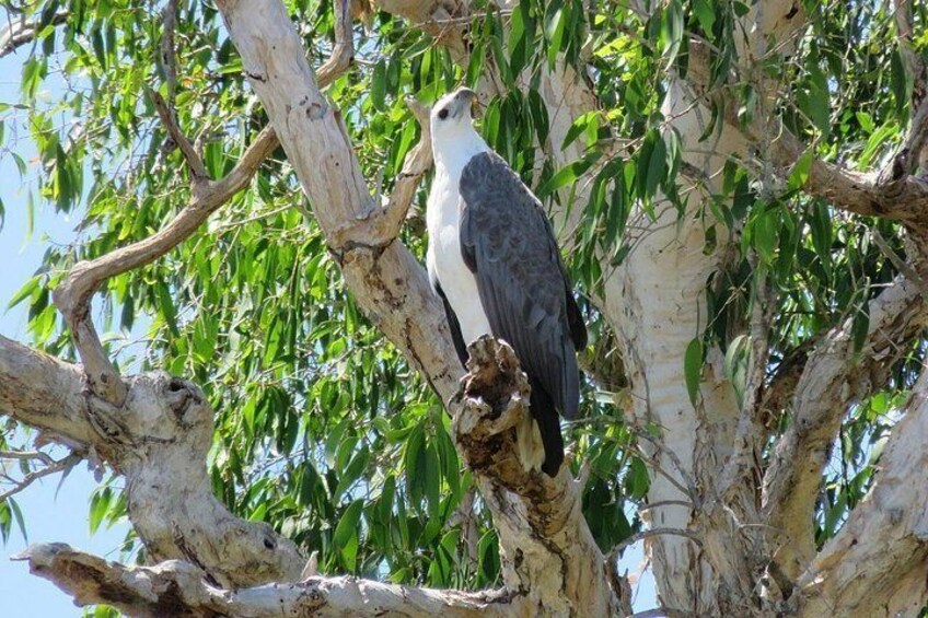 Darwin to Kakadu Day Trip by Air Including Yellow Water Cruise 3