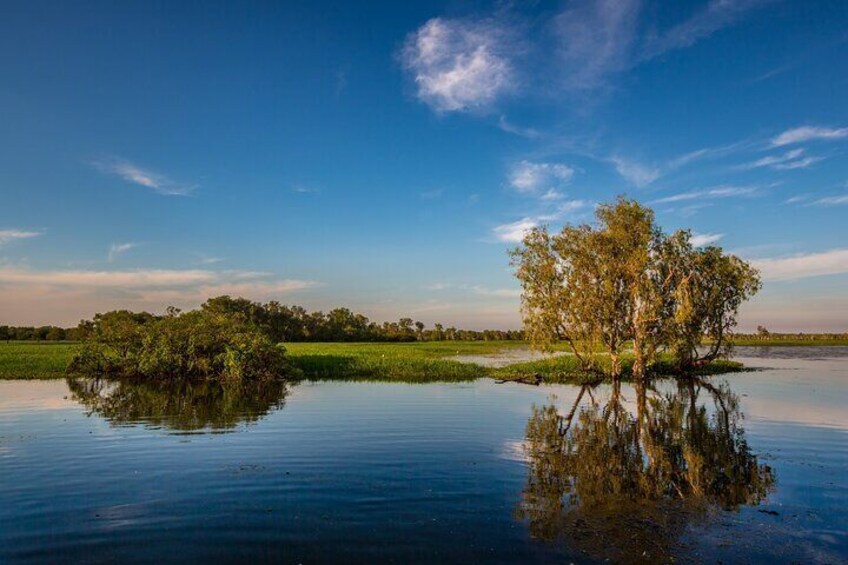 A calm lake with a small island of trees reflecting in the water. 5