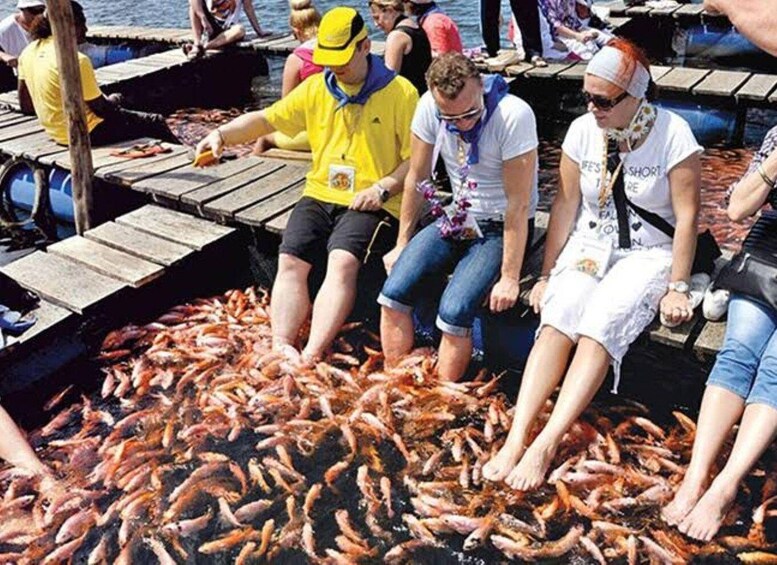 Picture 38 for Activity Colombo-Galle Fort, Boat Safari, Turtles, Amazing Group Tour 3